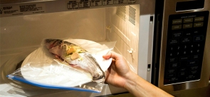 microwave-fish